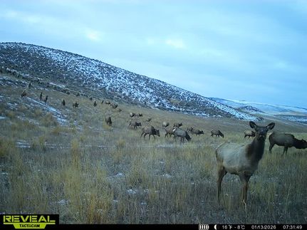 Hunting Property for sale in Moffat County, Colorado