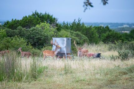 Land for sale in Real County, Texas