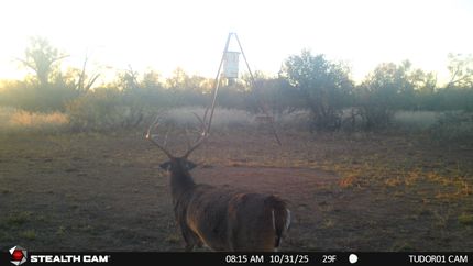 Farm and Ranch for sale in Stonewall County, Texas