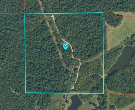 Timberland Property for sale in Clay County, Arkansas