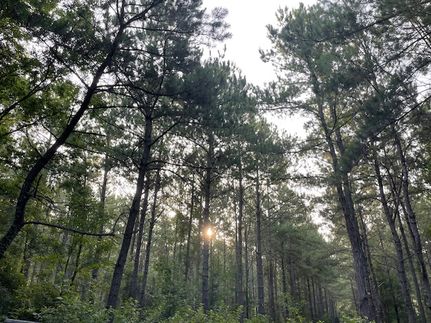 Land for sale in Angelina County, Texas