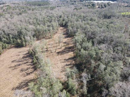 Land for sale in Coffee County, Alabama
