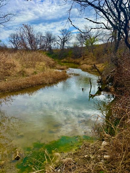 House for sale in San Saba County, Texas