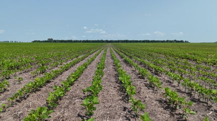 Land for sale in Ramsey County, North Dakota