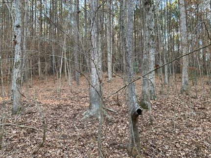 Hunting Property for sale in Claiborne Parish, Louisiana