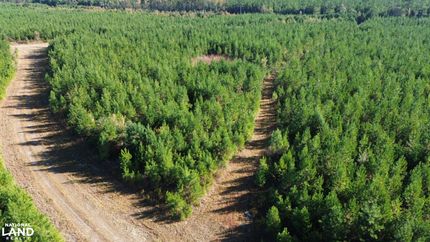 Timberland Property for sale in Berkeley County, South Carolina