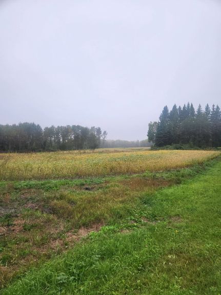 Land for sale in Beltrami County, Minnesota