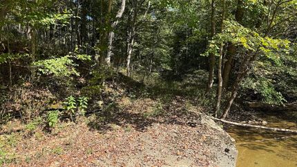 Homesite for sale in Taylor County, Kentucky