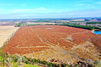 Timberland Property for sale in Irwin County, Georgia