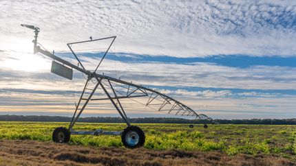 Recreational Property for sale in Mitchell County, Georgia