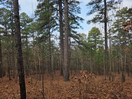 Land for sale in Le Flore County, Oklahoma