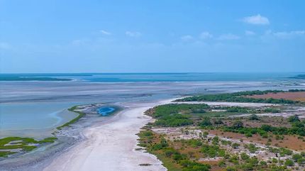 Oceanfront Property for sale in Kleberg County, Texas