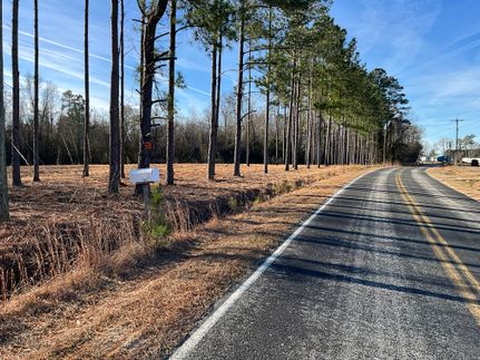 Land for sale in Marion County, South Carolina