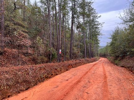 Land for sale in Washington County, Georgia