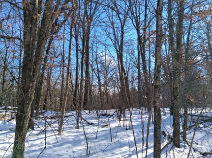 Homesite for sale in Washburn County, Wisconsin
