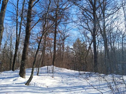 Land for sale in Washburn County, Wisconsin