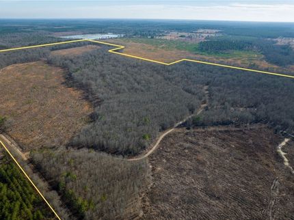 Undeveloped Land for sale in Red River County, Texas