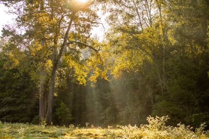 Recreational Property for sale in Smith County, Texas