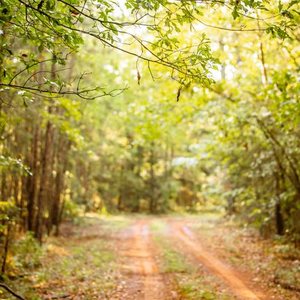 Land for sale in Smith County, Texas