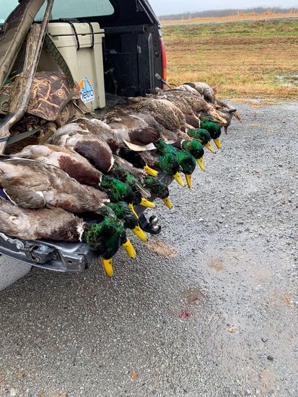 Farm and Ranch for sale in Lonoke County, Arkansas