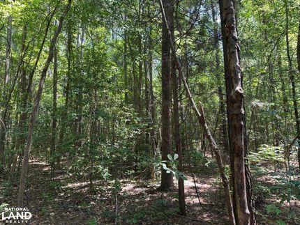 Land for sale in Cumberland County, North Carolina