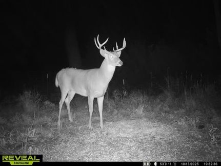 Horse Property for sale in Reno County, Kansas