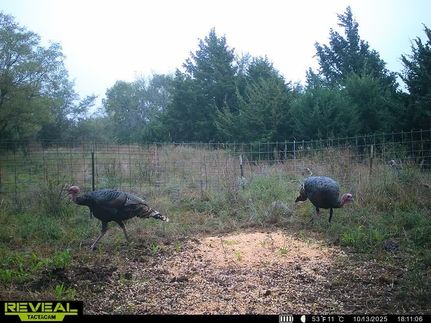 Farm and Ranch for sale in Reno County, Kansas