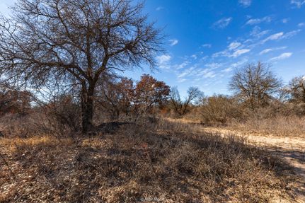 Hunting Property for sale in Jones County, Texas