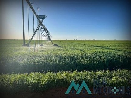 Farm and Ranch for sale in Roosevelt County, New Mexico