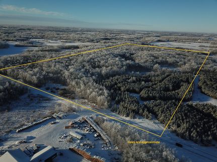 Timberland Property for sale in Clearwater County, Minnesota