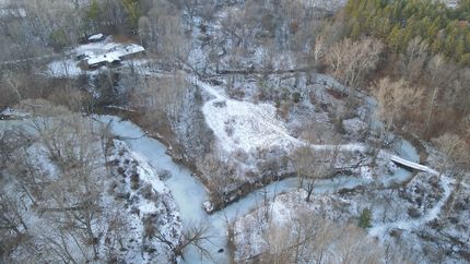 Timberland Property for sale in Midland County, Michigan