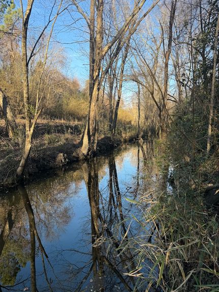 Land for sale in Edgecombe County, North Carolina