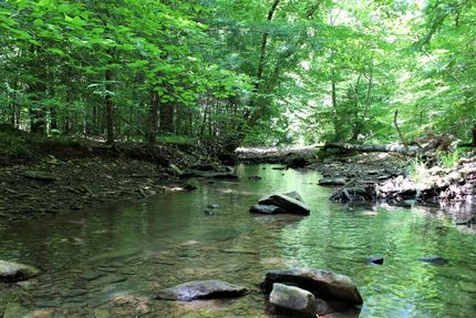 Land for sale in Owsley County, Kentucky