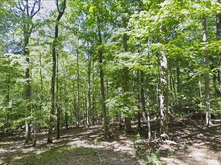 Recreational Property for sale in Rockbridge County, Virginia