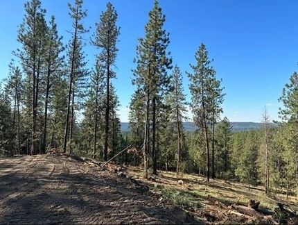 Recreational Property for sale in Stevens County, Washington