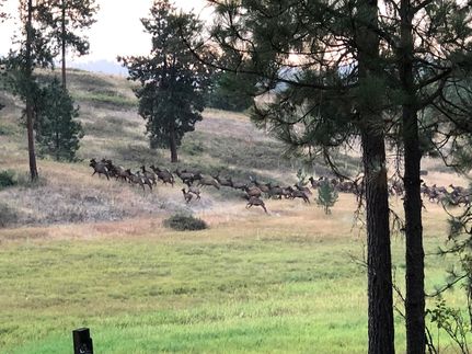 Land for sale in Stevens County, Washington