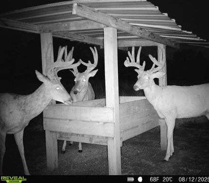 Farm and Ranch for sale in Chautauqua County, Kansas