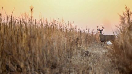 Land for sale in Texas County, Oklahoma