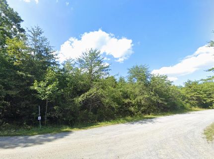 Undeveloped Land for sale in Orange County, Virginia