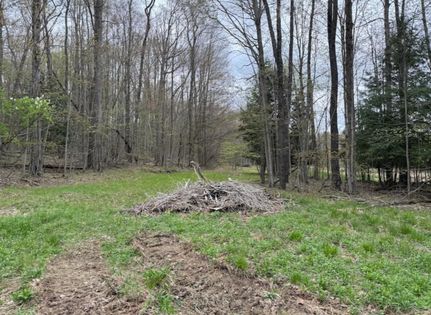 Land for sale in McKean County, Pennsylvania