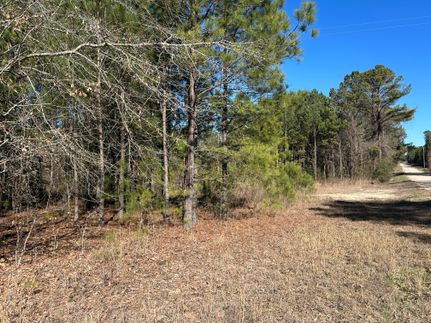 Timberland Property in Darlington County, South Carolina