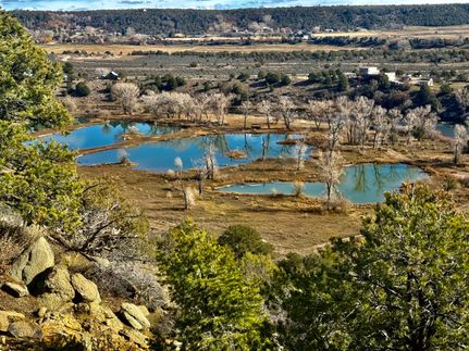 Riverfront Property for sale in La Plata County, Colorado