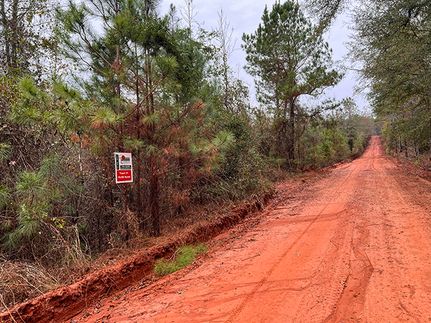 Recreational Property for sale in Washington County, Georgia