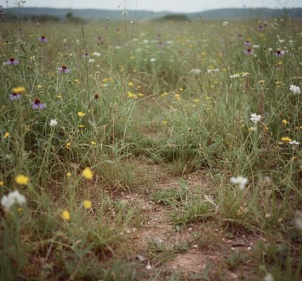 Timberland Property for sale in Bryan County, Oklahoma