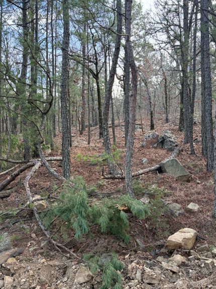 Undeveloped Land for sale in Le Flore County, Oklahoma