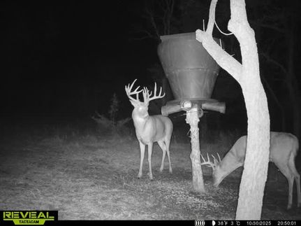 Farm and Ranch for sale in Wabaunsee County, Kansas