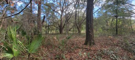 Recreational Property for sale in Putnam County, Florida