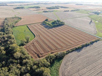 Land for sale in Dodge County, Minnesota