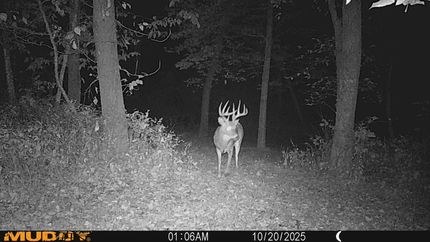 Land in Guthrie County, Iowa