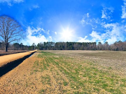 Farm and Ranch for sale in Marion County, South Carolina
